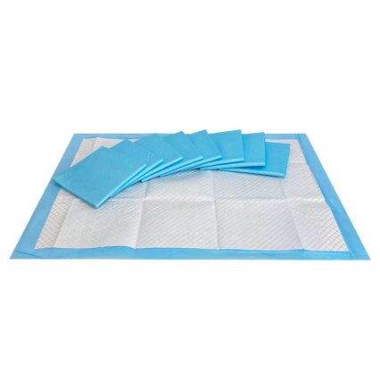 Potty Pad