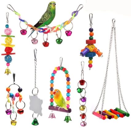 Parrot play Toy Beads