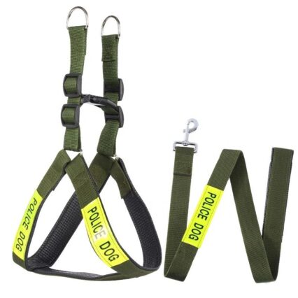 Police Leash and Harness