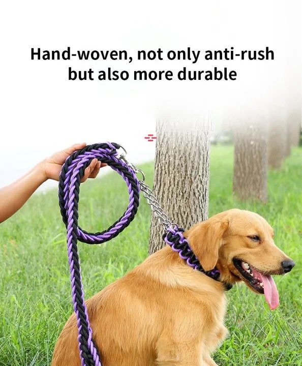 Woven Leash with choke Collar - Image 3