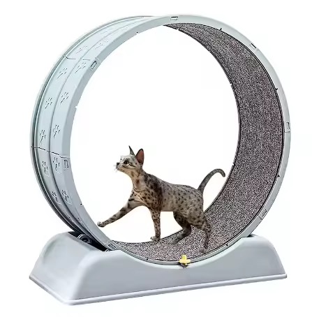Cat Threadmill - Image 8