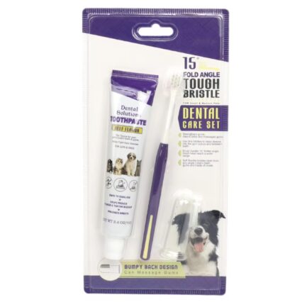 Sloppup Dental Kit
