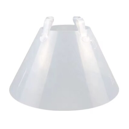 Elizabethan Collar