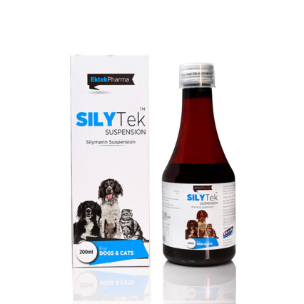 SilyTek suspension