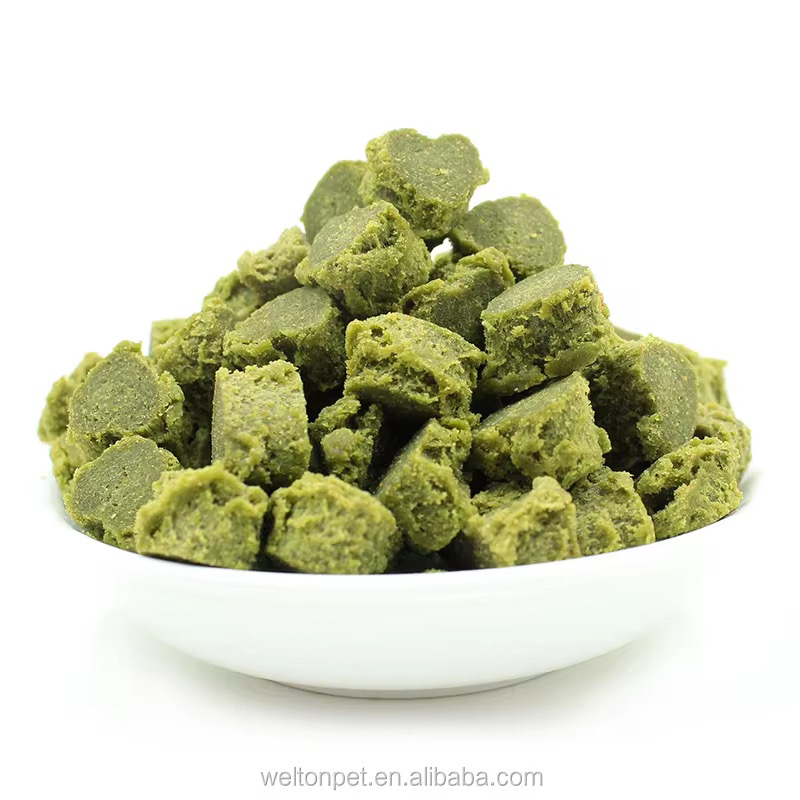 Seaweed Skin & Coat - Image 2