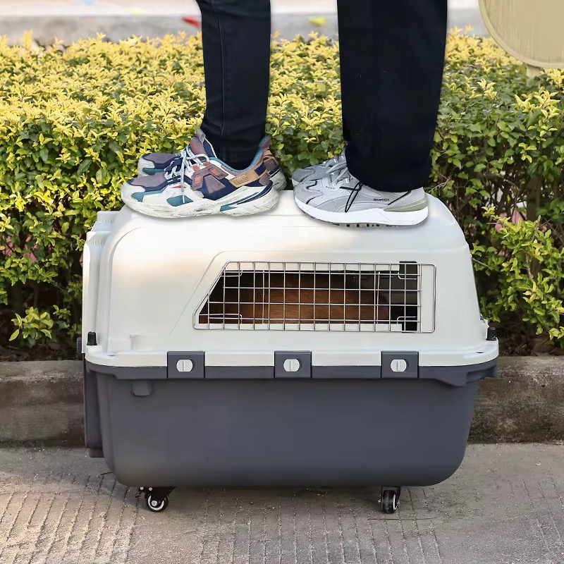 Pet Travel Crate Carrier - Image 3