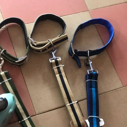 Nylon Leash and collar XL BMXQ039