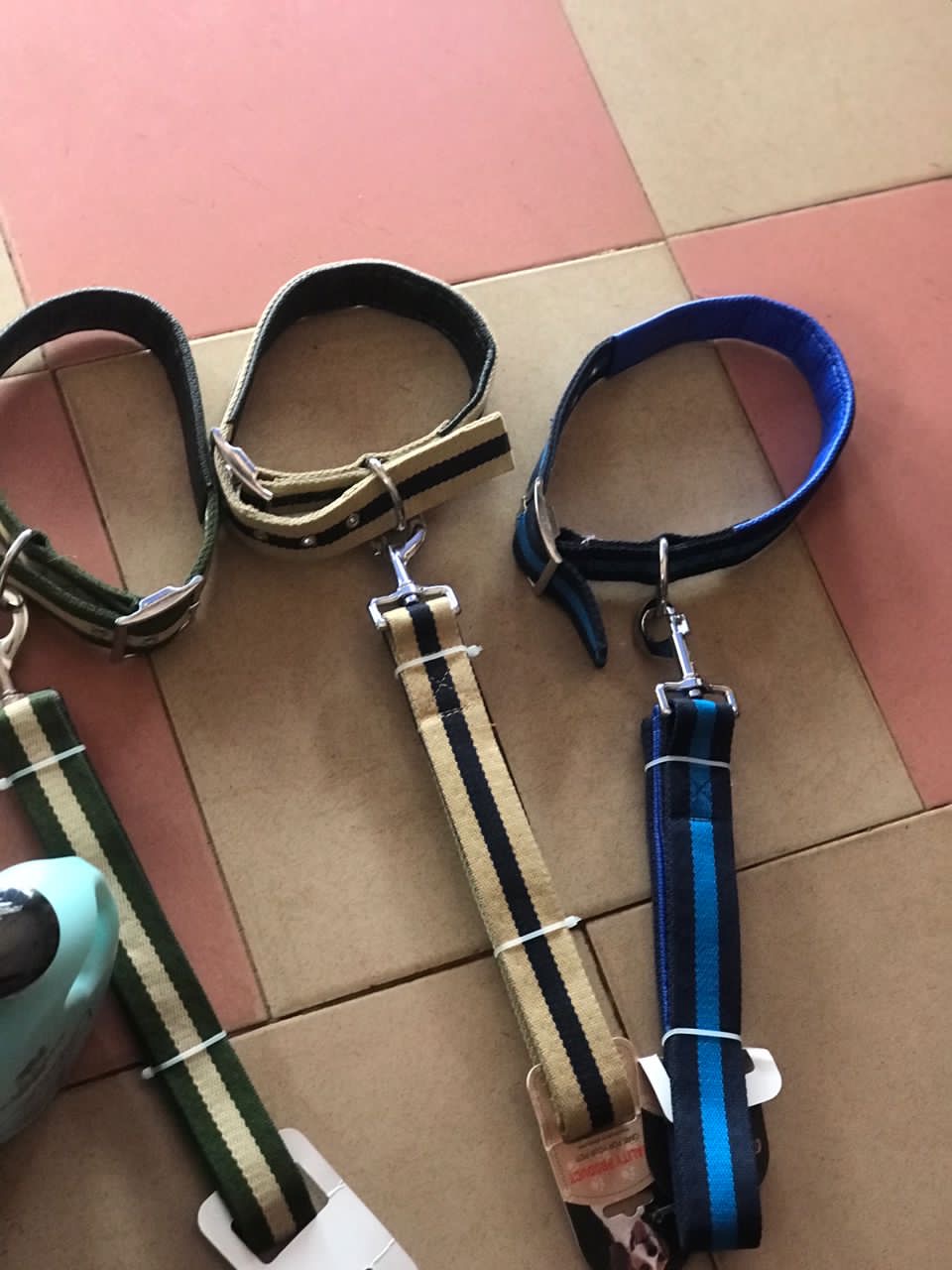 Nylon Leash and collar XL BMXQ039
