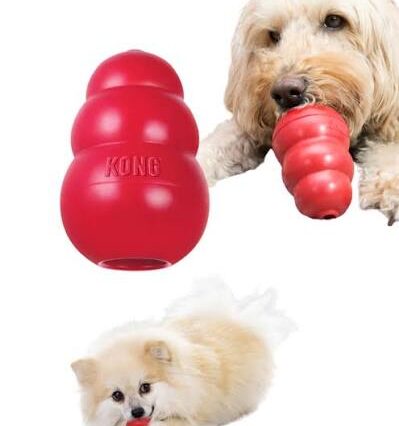 Kong Toy