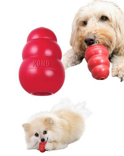 Kong Toy