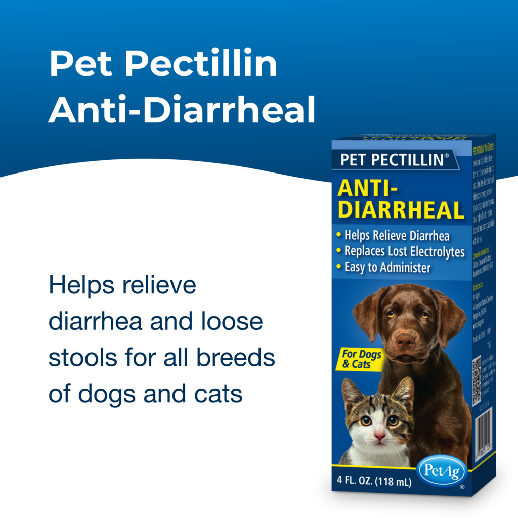 Pet Pectillin - Image 4