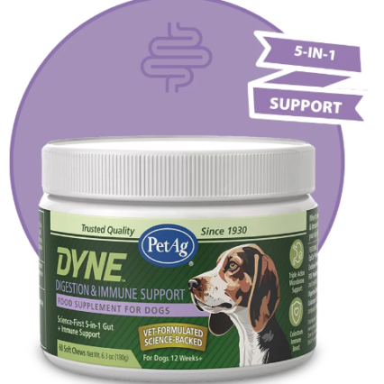 DYNE™ Digestion & Immune Support Soft chews