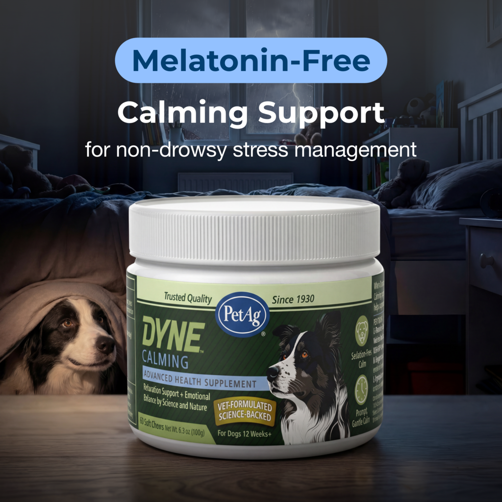 DYNE™ Calming Soft Chews - Image 2