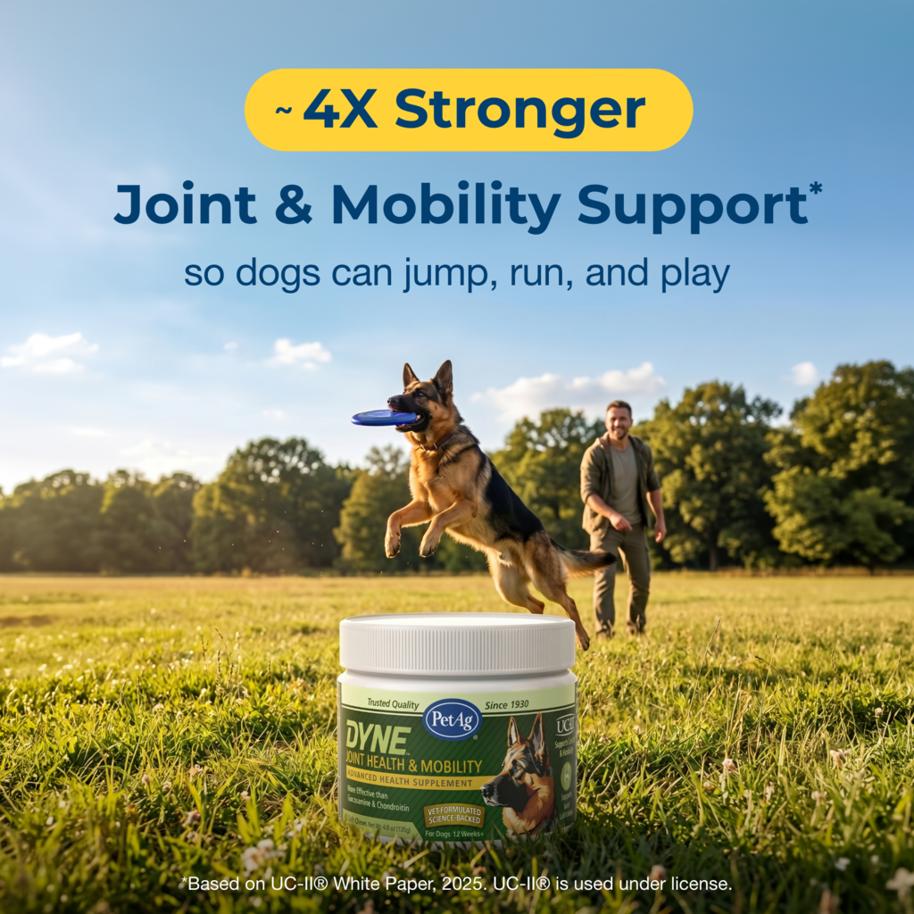 DYNE™ Joint Health & Mobility Soft Chews for dogs - Image 3