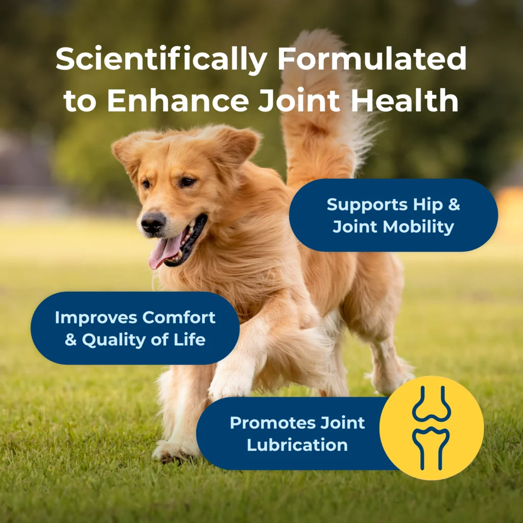 DYNE™ Joint Health & Mobility Soft Chews for dogs - Image 4
