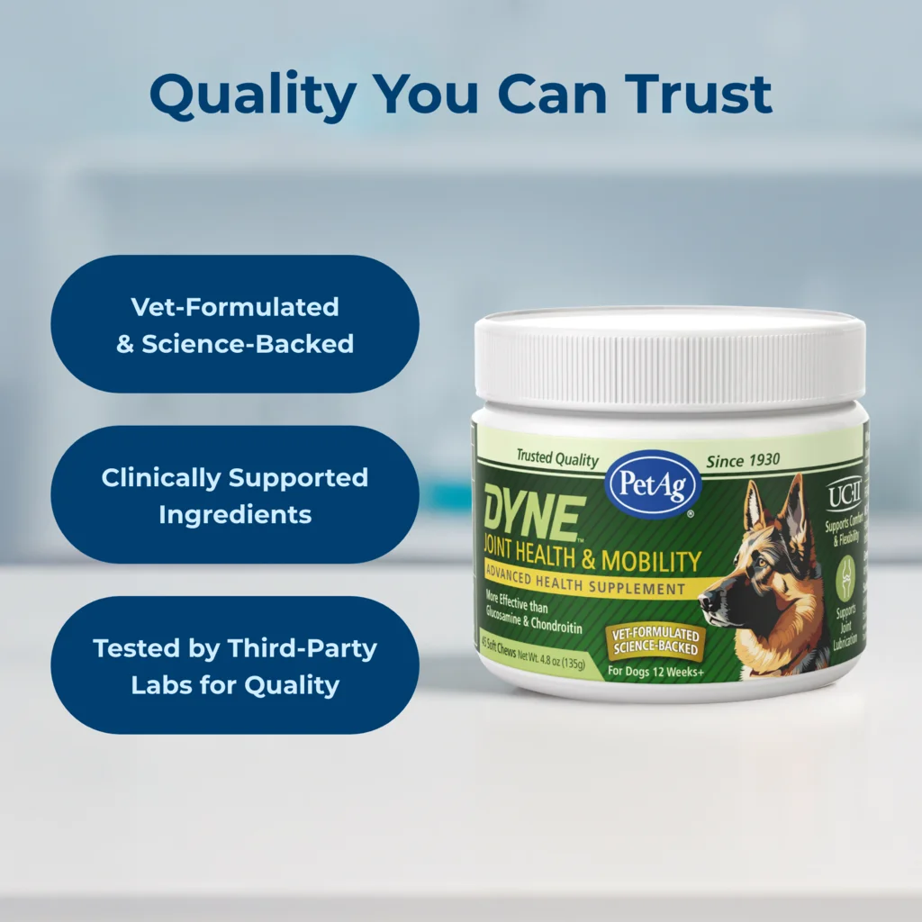 DYNE™ Joint Health & Mobility Soft Chews for dogs